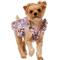 Show in main carousel: Frisco Ruffle Dog & Cat Dress, Spring Floral, X-Small slide 1 of 10