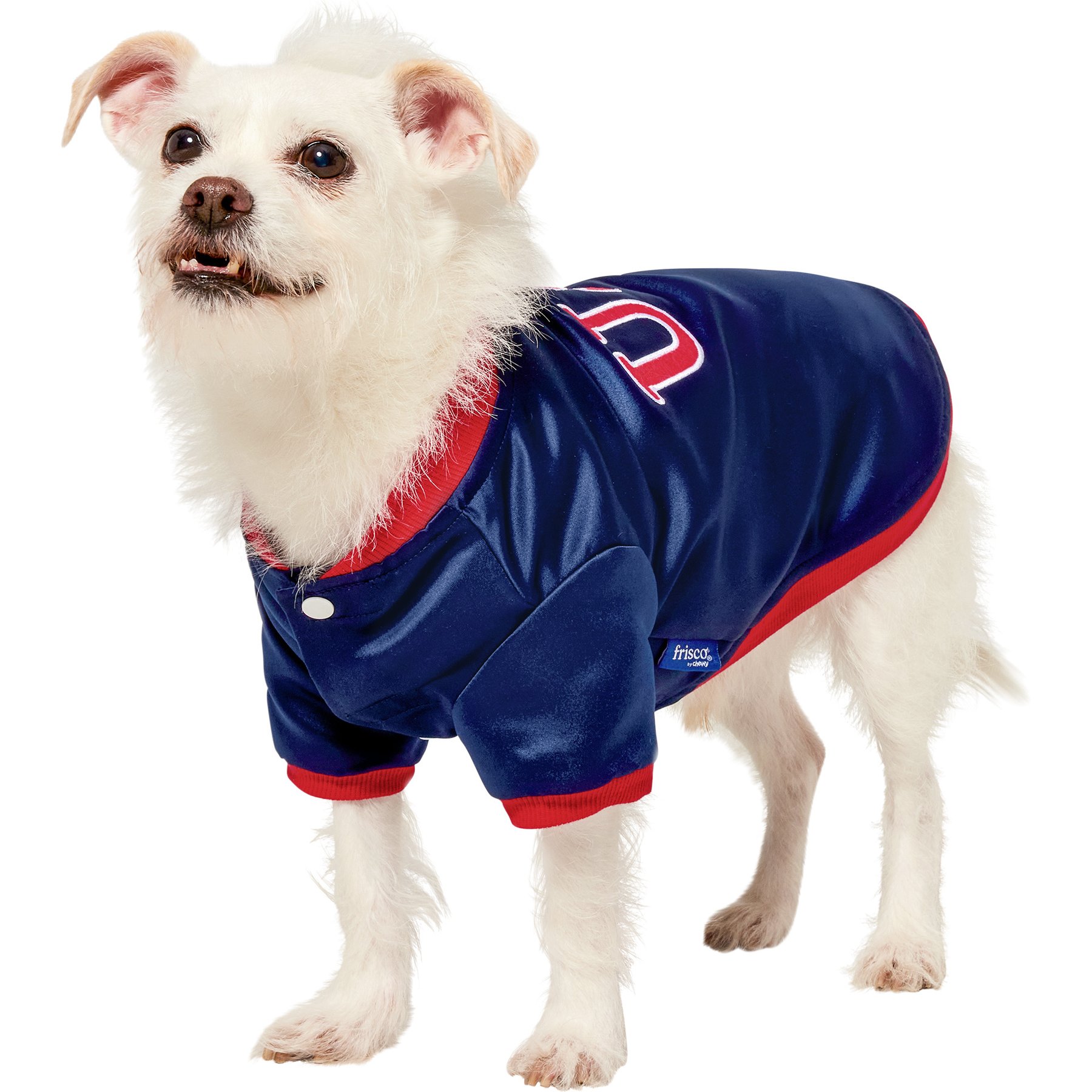 Frisco Retro Americana Sports Dog & Cat Bomber Jacket, Small