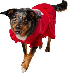 Frisco Americana Flag Ruffle Dog & Cat Dress, Large