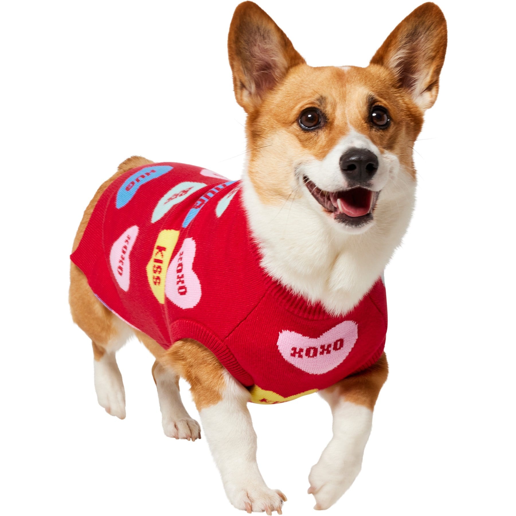 Frisco Conversation Candy Heart Dog & Cat Sweater, Large