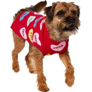Frisco Valentine's Conversation Candy Heart Dog & Cat Sweater, Medium