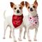 Show in main carousel: Frisco Valentine's Floral Heart & All You Need is Love Dog & Cat Reversible Bandana, X-Small/Small slide 1 of 10