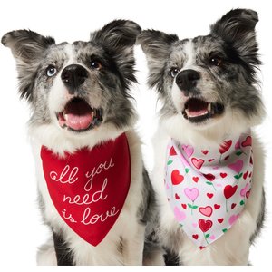 Frisco Valentine's Floral Heart & All You Need is Love Dog & Cat Reversible Bandana, Medium/Large