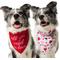 Show in main carousel: Frisco Valentine's Floral Heart & All You Need is Love Dog & Cat Reversible Bandana, Medium/Large slide 1 of 9