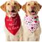 Show in main carousel: Frisco Valentine's Floral Heart & All You Need is Love Dog & Cat Reversible Bandana, X-Large/XX-Large slide 1 of 9