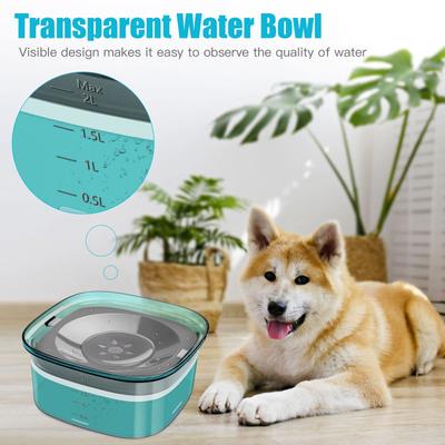 Show full view: UPSKY Spill Proof, No Splash Non-Skid Plastic Slow Feeder Dog & Cat Water Bowl, 2-L, Green slide 5 of 9