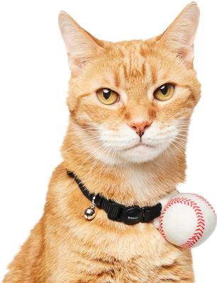 Show full view: Frisco Baseball Dog & Cat Adjustable Collar Attachment, One Size slide 2 of 9