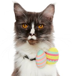 Frisco Removable Easter Egg Dog & Cat Adjustable Collar Attachment, One Size slide 2 of 6