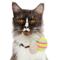 Show in main carousel: Frisco Removable Easter Egg Dog & Cat Adjustable Collar Attachment, One Size slide 2 of 8