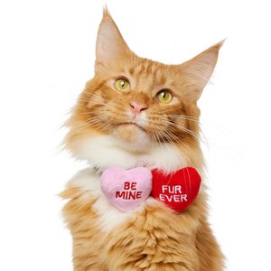 Frisco Valentine's Candy Conversation Heart Collar Attachment, One Size