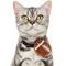 Show in main carousel: Frisco Removable Football Dog & Cat Adjustable Collar Attachment, One Size slide 2 of 9