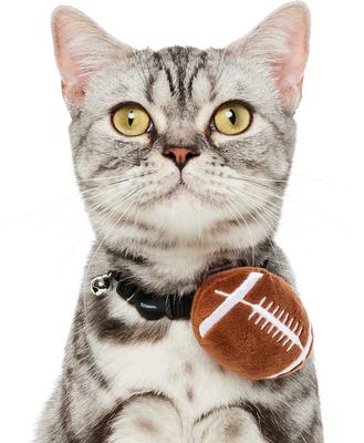 Show full view: Frisco Removable Football Dog & Cat Adjustable Collar Attachment, One Size slide 2 of 9