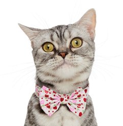 Frisco Valentine's Hearts Dog & Cat Bow Tie, Floral Hearts, X-Small/Small