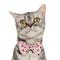 Show in main carousel: Frisco Valentine's Hearts Dog & Cat Bow Tie, Floral Hearts, X-Small/Small slide 1 of 10