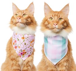 Frisco Spring Floral & Gingham Reversible Dog & Cat Bandana, X-Small/Small slide 2 of 8