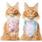 Show in main carousel: Frisco Spring Floral & Gingham Reversible Dog & Cat Bandana, X-Small/Small slide 2 of 10