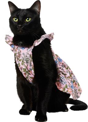 Show full view: Frisco Ruffle Dog & Cat Dress, Spring Floral, X-Small slide 2 of 10