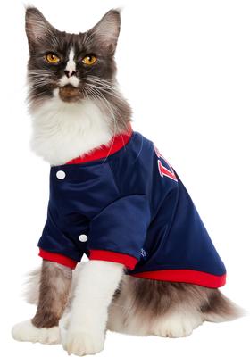 Show full view: Frisco Retro Americana Sports Dog & Cat Bomber Jacket, Medium slide 2 of 10