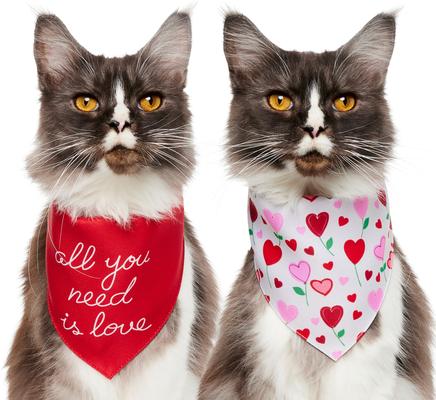 Show full view: Frisco Valentine's Floral Heart & All You Need is Love Dog & Cat Reversible Bandana, X-Small/Small slide 2 of 10