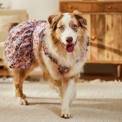Frisco Ruffle Sleeve Dog & Cat Dress, Spring Floral, XX-Large slide 2 of 7