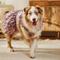 Show in main carousel: Frisco Ruffle Dog & Cat Dress, Spring Floral, XX-Large slide 6 of 9