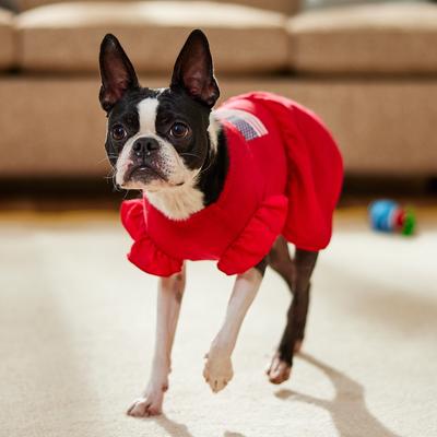 Show full view: Frisco Americana Flag Ruffle Dog & Cat Dress, Small slide 8 of 10