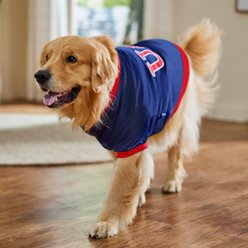 Frisco Retro Americana Sports Dog & Cat Bomber Jacket, XX-Large slide 2 of 8