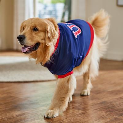 Show full view: Frisco Retro Americana Sports Dog & Cat Bomber Jacket, XX-Large slide 8 of 10