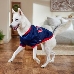 Frisco Retro Americana Sports Dog & Cat Bomber Jacket, X-Large slide 2 of 8