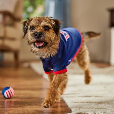 Show full view: Frisco Retro Americana Sports Dog & Cat Bomber Jacket, Small slide 9 of 11