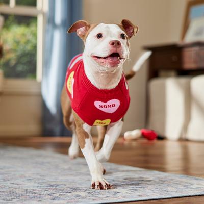 Show full view: Frisco Valentine's Conversation Candy Heart Dog & Cat Sweater, Large slide 8 of 11