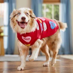 Frisco Valentine's Conversation Candy Heart Dog & Cat Sweater, XX-Large slide 2 of 8