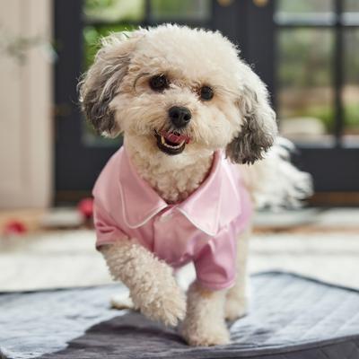 Show full view: Frisco Valentine's Satin Dog & Cat Pajama Shirt with Heart Buttons, Small slide 8 of 11