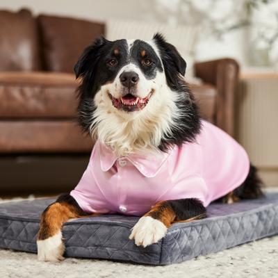 Show full view: Frisco Valentine's Satin Dog & Cat Pajama Shirt with Heart Buttons, X-Large slide 7 of 10