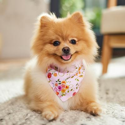 Show full view: Frisco Spring Floral & Gingham Reversible Dog & Cat Bandana, X-Small/Small slide 6 of 10
