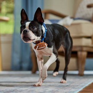 Frisco Removable Football Dog & Cat Adjustable Collar Attachment, One Size