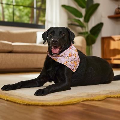 Show full view: Frisco Spring Floral & Gingham Reversible Dog & Cat Bandana, X-Large/XX-Large slide 5 of 9