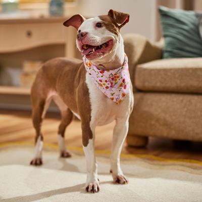 Show full view: Frisco Spring Floral & Gingham Reversible Dog & Cat Bandana, Medium/Large slide 5 of 9