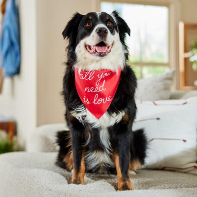 Show full view: Frisco Valentine's Floral Heart & All You Need is Love Dog & Cat Reversible Bandana, Medium/Large slide 5 of 9
