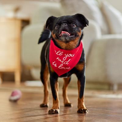 Show full view: Frisco Valentine's Floral Heart & All You Need is Love Dog & Cat Reversible Bandana, X-Small/Small slide 6 of 10