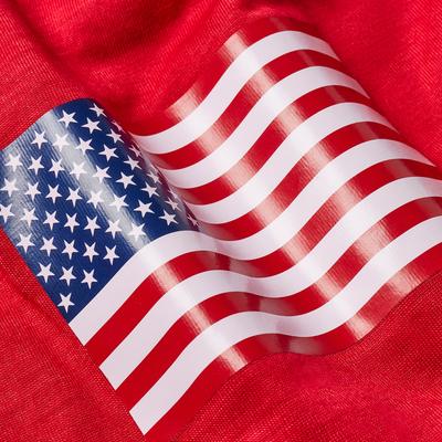 Show full view: Frisco Americana Flag Ruffle Dog & Cat Dress, Small slide 7 of 10