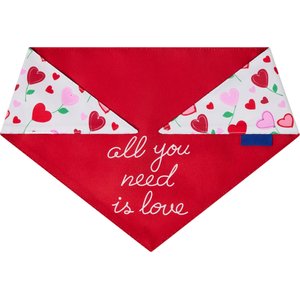 Frisco Valentine's Floral Heart & All You Need is Love Dog & Cat Reversible Bandana, Medium/Large