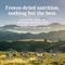Show in main carousel: K9 Natural Lamb & King Salmon Grain-Free Freeze-Dried Dog Food, 1.1-lb bag slide 3 of 10