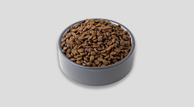 ORIJEN Original Grain-Free Dry Cat Food