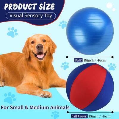 Show full view: Pet Fit For Life 18-in Herding Ball Dog Toy slide 3 of 8