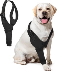 Supet Front Leg Elbow Protector & Recovery Sleeve for Dogs, Small: Right Leg