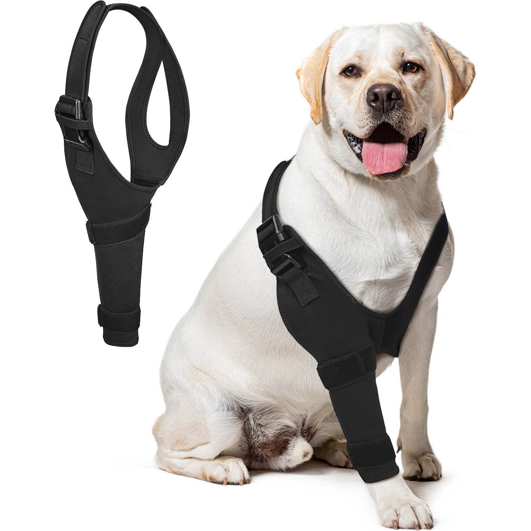 Supet Front Leg Elbow Protector & Recovery Sleeve for Dogs, Large: Right Leg