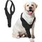 Show in main carousel: Supet Front Leg Elbow Protector & Recovery Sleeve for Dogs, Small: Right Leg slide 1 of 9