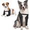 Show in main carousel: Supet Front Leg Double Dog Elbow Protector & Recovery Sleeves for Front Legs, Medium slide 1 of 8