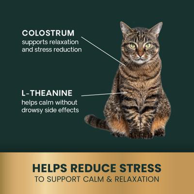 Show full view: VetriScience Composure Calm & Confident Chicken Liver Flavored Soft Chews Calming Supplement for Cats, 30 count slide 6 of 12
